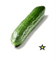 Agurk stk Norsk