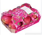 Epler Pink Lady 6 pk